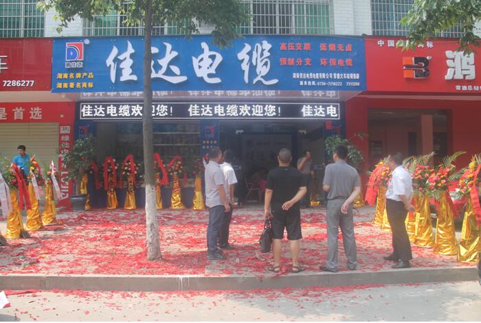 湖南佳达电线电缆有限公司,佳达电线电缆,电力电缆系列,控制电缆,电线电缆企业那里好